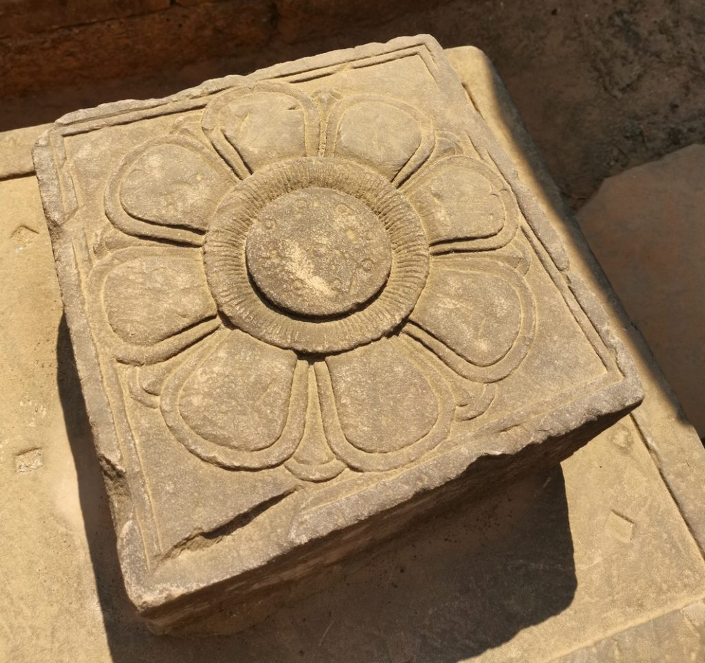 Blume in Banteay Srey